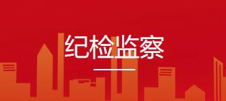 开展廉洁回访 强化项目监督
